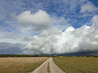 Straight Summer road